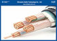 Les câbles résistants au feu blindés /PVC ont isolé la tension évaluée 0.6/1kV (taille : 1.5~1000mm2)