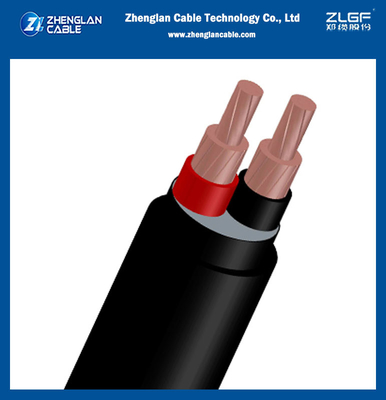 0.6/1KV câbles enveloppés en PVC isolés en cuivre Xlpe à basse tension 2Core pour la CEI 60228, la CEI 60502-1 (CU/XLPE/PVC)