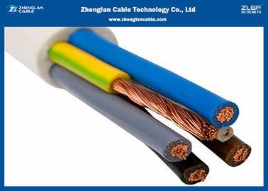 Le bas câble de fumée avec le PVC la désignation a isolé/code : 60227 le CEI 53 (International), RVVB 300/500v (Chine)